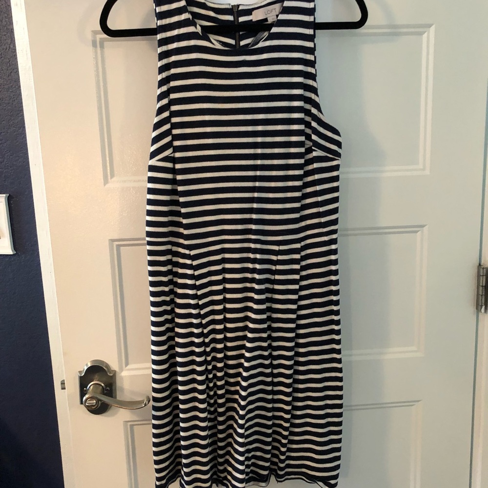 LOFT Navy and White Skater Dress